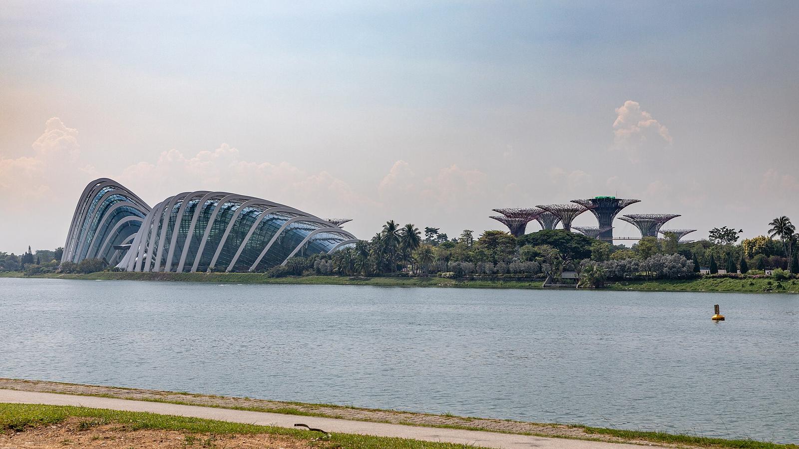Singapore's Best Local Experiences This Week: Complete Guide