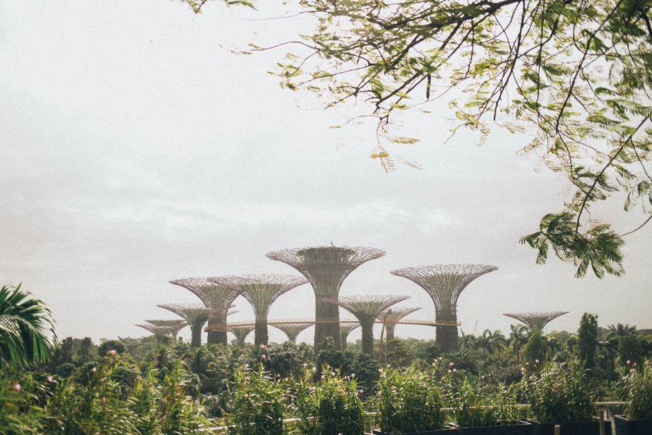 Singapore in July: What visitors should know and the must-see highlights