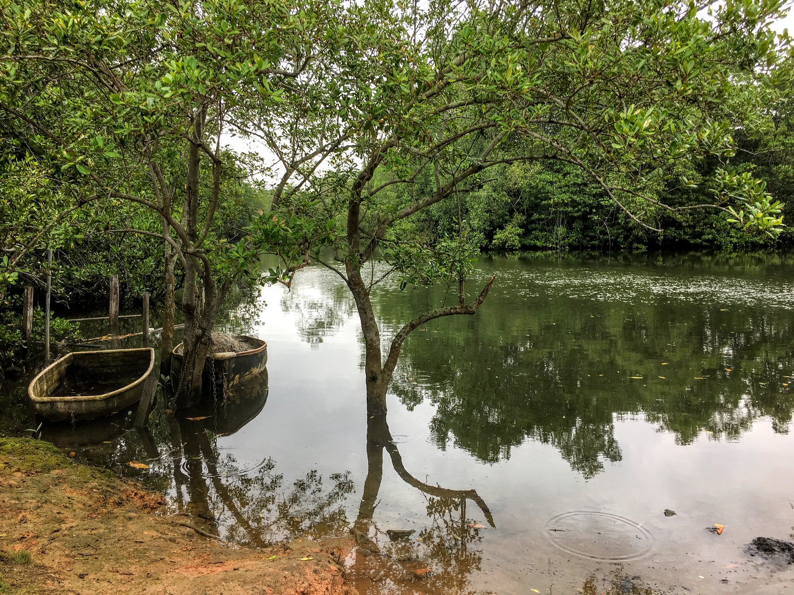 Pulau Ubin and Chek Jawa: an expanded access and facilities guide