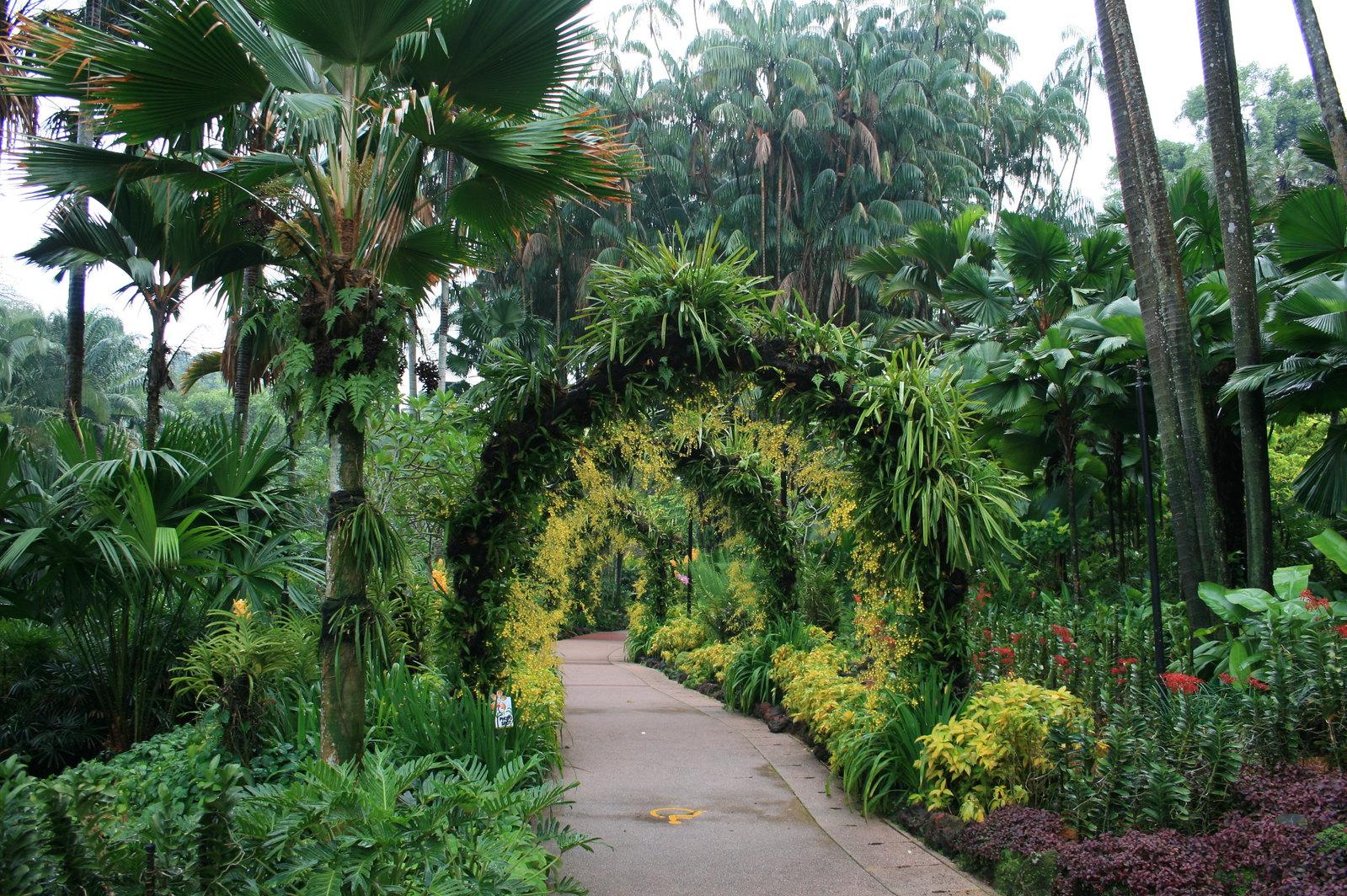 Singapore's Tropical Climate: Hot, Humid Year-Round