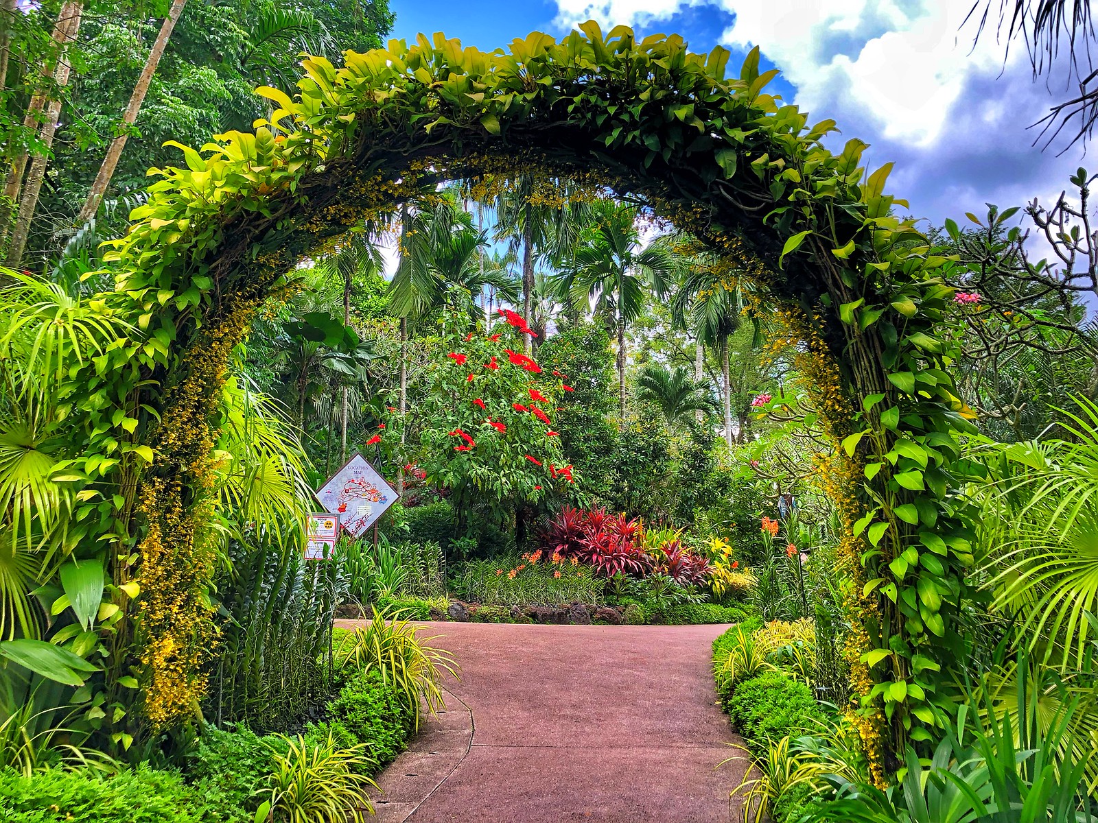 Singapore Botanic Gardens and National Orchid Garden: admission and opening hours