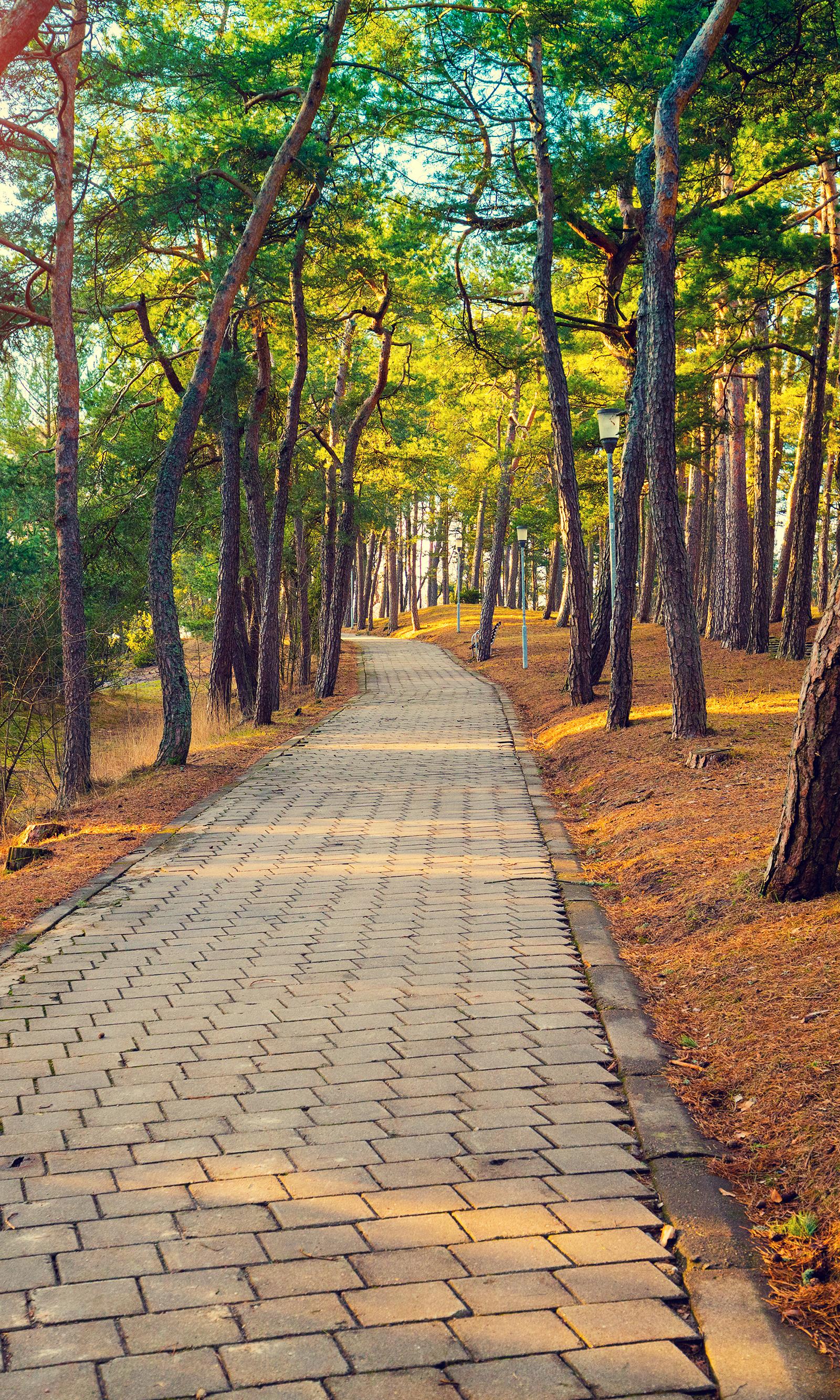 Singapore's Park Connectors Unite 400km of Paths and Communities
