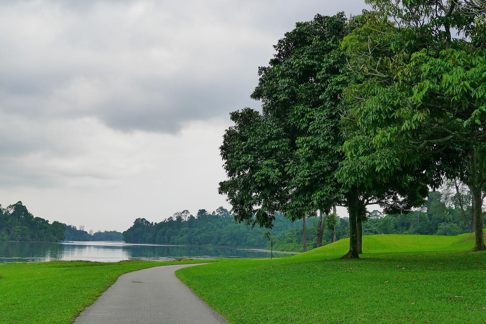 The Hidden Nature Walks in Singapore Locals Love but Tourists Miss