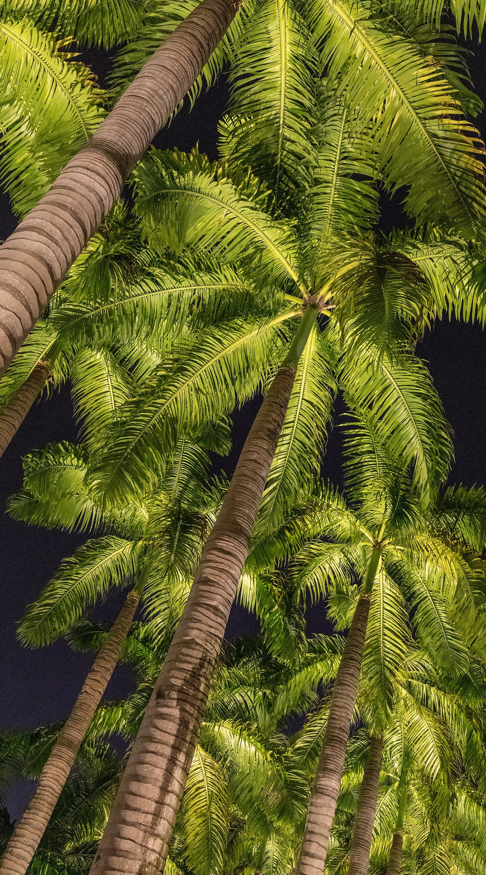 Singapore (SG), Bayfront Ave 2019 4669